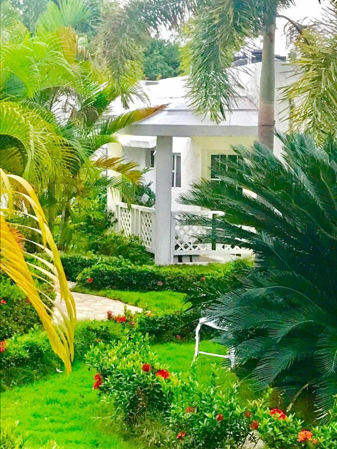Daymond Blue Tropical Lodge Barahona エクステリア 写真